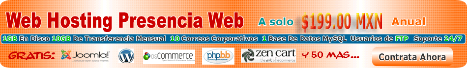 Web Hosting a $199.00 Anual